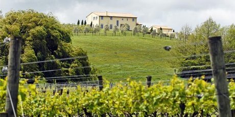 A view that sums up the inviting bucolic character of Kumeu and Huapai. Photo / Michael Craig