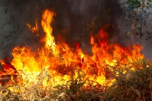 Dozens of firefighters are battling a South Island fire near Lake Hawea. Photo / Thinkstock
