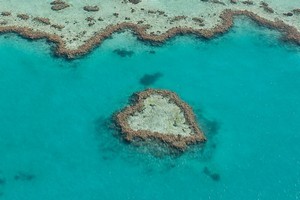 The Great Barrier Reef wouldn't be the same without its heart, a part of Hardy Reef, which was discovered in 1975 by one of Air Whitsunday's seaplane pilots. Photo / Thinkstock