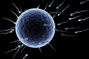 A University of Auckland review found men who took antioxidants were more likely to impregnate their partner. Image / Thinkstock
