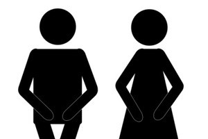 Passengers will be given plastic bags to urinate in in 'extreme emergencies'. Photo / Thinkstock