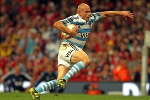 Contepomi says Argentina must play a 'perfect game'. Photo / Getty Images