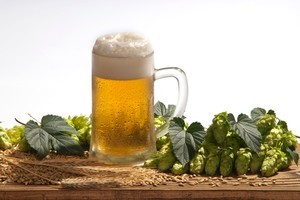 The party long billed as the world's only dry Oktoberfest is finally going wet. Photo / Thinkstock