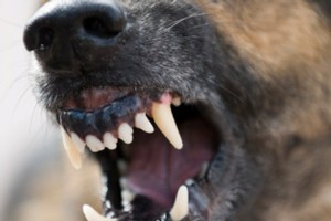 File photo / Thinkstock