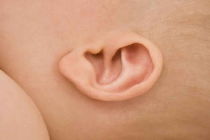 Ears are just one of the things that tertiary students fear. Photo / Thinkstock