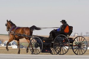 Local sheriff Fred Abdalla says he suspects the hair-cutting attacks are part of a dispute between rival congregations of the Amish, a fundamentalist branch of the Mennonite Church, whose followers shun modern technology. Photo / Thinkstock