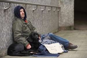 The RSPCA Living Ruff programme will feed the pets of Sydney's homeless. Photo / Thinkstock