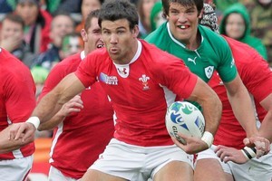 Welsh halfback Mike Phillips is in the form of his life. Photo / Mark Mitchell