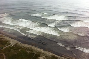 The beach is now black with oil as waves bring the toxic material ashore. Photo / Hayden Donnell