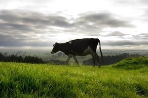 File photo / Thinkstock