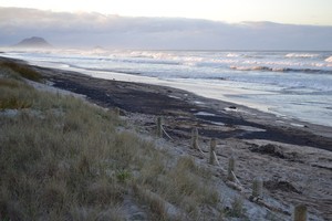 The oil slick washes up on Papamoa Beach. Photo / Naomi Willis