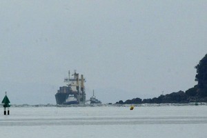 The Schelde Trader, sitting on rocks at Mount Maunganui. Photo / APN