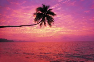 For many years, in the interests of uninterrupted holidaying pleasure, I conveniently overlooked Fiji's problems. Photo / Thinkstock