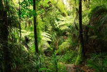 The long-term damage to New Zealand's brand may come from a failure to shift to low-carbon industries. Photo / Thinkstock
