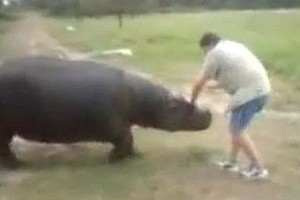 The hippo, called Humphrey, mauled his owner, Marius, to death. Photo / Supplied