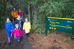 The forest walks around Ohakune are suitable for littlies' legs and sedentary adults to cope with. Photo / Bruce Nicholson
