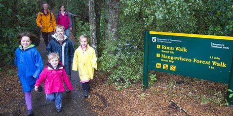 The forest walks around Ohakune are suitable for littlies' legs and sedentary adults to cope with. Photo / Bruce Nicholson