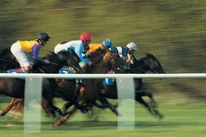 Horse racing tips by phone - a hot investment? Photo / Thinkstock