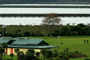 Shore Road reserve. Photo / Martin Sykes