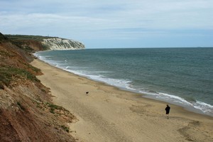 The cliffs at Yaverland on the Isle of Wight are packed with fossils. Photo / Creative Commons image by Simon Haytack