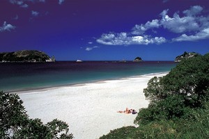 More than one person nominated Hahei on the Coromandel Peninsula for its relaxed atmosphere, pristine white sands and abundant marine life. Photo / Supplied