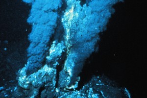 Microbes feeding off hydrothermal vents transform the structures they inhabit into 'natural batteries'. Photo / NOAA Pacific Marine Environmental Laboratory's Vents Program