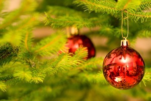 Christmas trees are responsible for why allergy suffering peaks around this time of year. Photo / Thinkstock