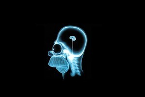 Scientists believe they have found the key to direct-to-brain learning. Photo / Supplied