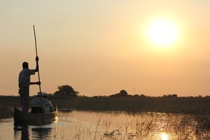 Gliding across the tranquil waters of the Okavango in a traditional mokoro. Photo / Jill Worrall