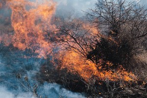 Emergency services are urging residents to leave their homes now. Photo / Thinkstock