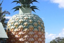 The Sunshine Coast's Big Pineapple was saved from demolition when three Brisbane businessmen paid A$5.8 million for the site, which includes 165 hectares across 15 titles, in August. Photo / Creative Commons image by Wikimedia user Moondyne The Sunshine Coast's Big Pineapple was saved from demolition when three Brisbane businessmen paid A$5.8 million for the site, which includes 165 hectares across 15 titles, in August. Photo / Creative Commons image by Wikimedia user Moondyne