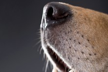 File photo / Thinkstock File photo / Thinkstock