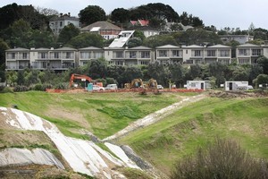 Work continues in Newmarket Park. Photo / Greg Bowker