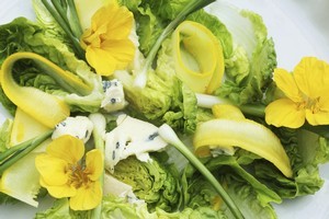 Health guru Dianna Tawharu suggests eating three or four greens a day to cleanse your body of toxins, these include lots of leafy greens which can be made into refreshing salads. Photo / Thinkstock
