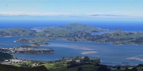 The Otago Peninsula comes in at number nine on CNN's list of the top 10 places to propose on Valentine's Day.