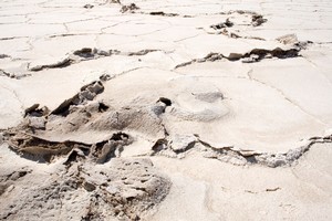 British and Russian will work on a project which they hope will eventually help them to predict when and where earthquakes may strike. Photo / Thinkstock