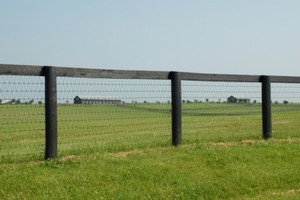 The market for lifestyle blocks is quiet. Photo / Thinkstock