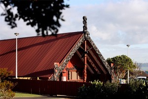 A United Nations report says Maori are extremely disadvantaged socially and economically. Photo / Dean Purcell