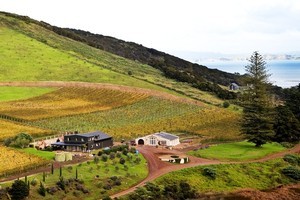 The surrounds at Poderi Crisci are more zen than Tuscany. Photo / Babiche Martens