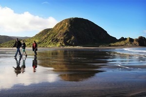 Swimming may not be an option at Whatipu Beach but there are plenty of other activities like discovering washed up sea creatures that make it a worthwhile trip. Photo / Greg Bowker