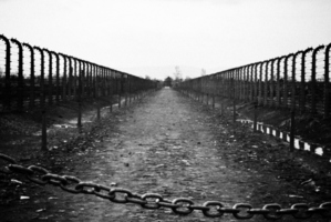 What does the word 'holocaust' really mean today? Photo / File