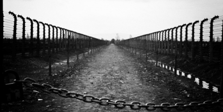 What does the word 'holocaust' really mean today? Photo / File