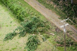 Power lines brought down by the strong winds over the weekend may take weeks to repair. Photo / supplied