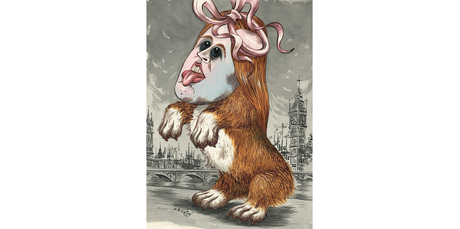 Illustration / Anna Crichton