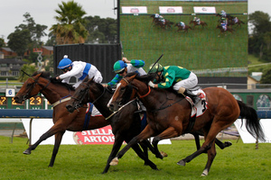 Classy mare Artistic (left) is pleasing trainer Shaune Ritchie. Photo / Natalie Slade