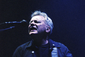 Once the talisman of a laminated photo pass was placed around my neck, all cynicism disappeared. Photo / Jonathan Ganley