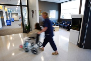 The Waikato DHB says the case highlights how the hospital failed to cope with the growing number of women needing specialist care. Photo / Sarah Ivey