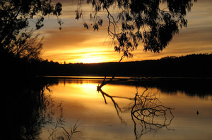 The spellbinding Murray River at sunset. Photo / Thinkstock