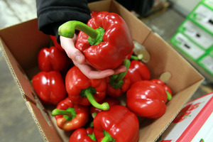 Germany's BayWa Atiengesellschaft has bought some 72.5 percent of T&G shares. Photo / NZ Herald