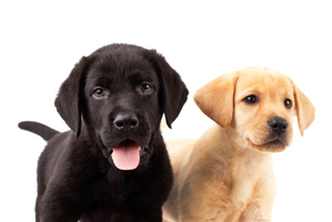 File photo / thinkstock